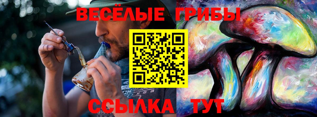 Майский  Псилоцибиновые грибы MAGIC MUSHROOMS  Вход с VPN 